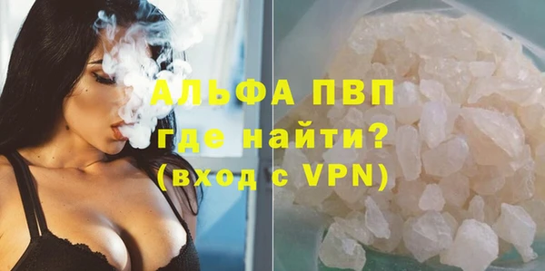 ГАЛЛЮЦИНОГЕННЫЕ ГРИБЫ Белокуриха