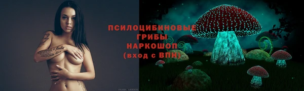 ГАЛЛЮЦИНОГЕННЫЕ ГРИБЫ Белокуриха