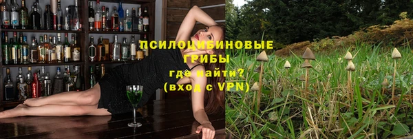 молекула духа Беломорск