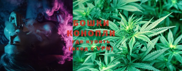 ГАЛЛЮЦИНОГЕННЫЕ ГРИБЫ Белокуриха