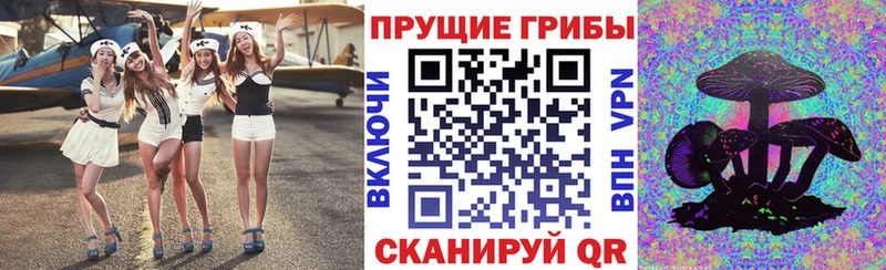 где купить наркоту Шатура blacksprut ONION Галлюциногенные грибы ЛСД